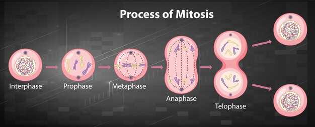 About Managing Cholesterol and Muscle Concerns