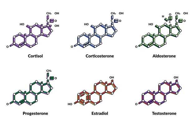 Understanding Comparative Effects