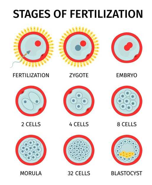 Ezetimibe azione