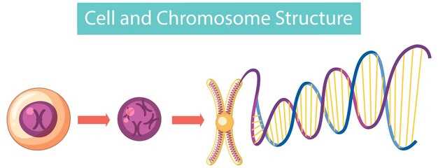 The Evolution of Therapeutic Paradigms