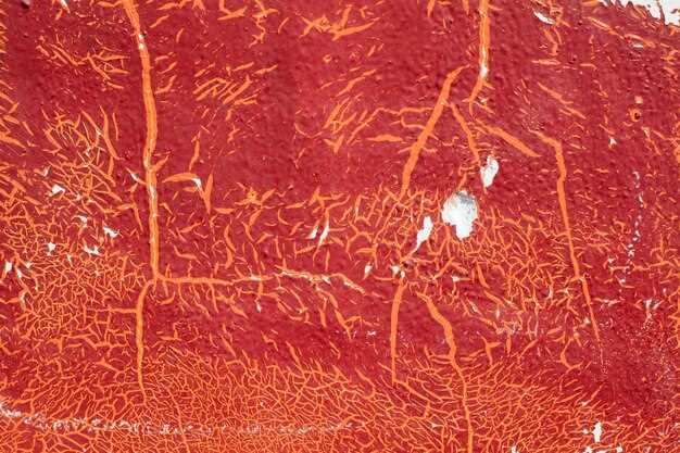 Understanding Cholesterol