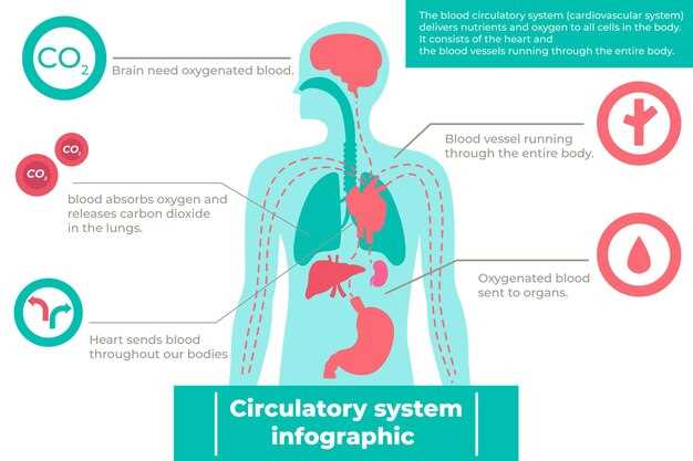 2. Gut Absorption: Nature's Silent Reclaimer