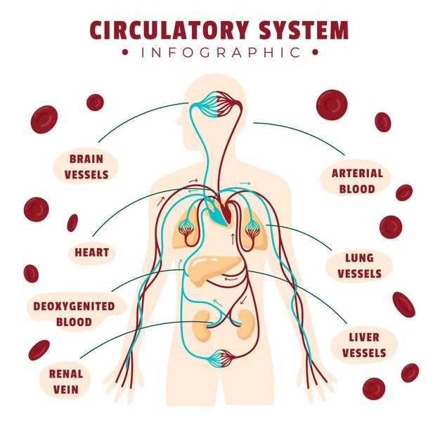 Ezetimibe enterohepatic circulation