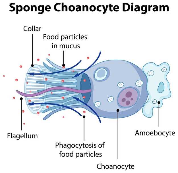 Exploring Biological Interactions