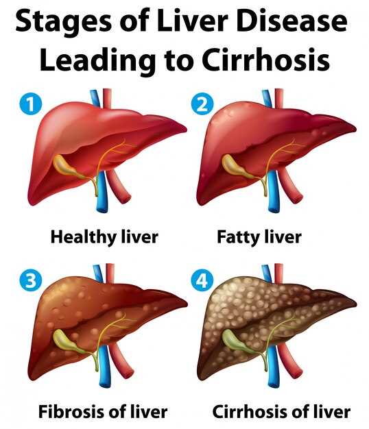 Overview of Hepatic Dynamics